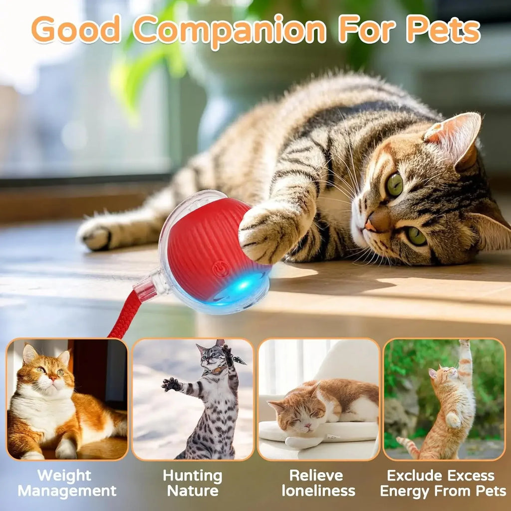 Dog Cat Interactive Ball Toy Automatic Rolling Ball Faux Tail